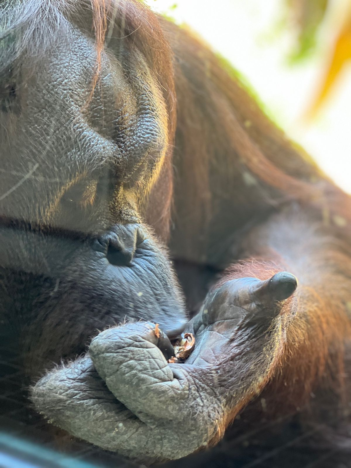 近くでモグモグ始めるドーネ