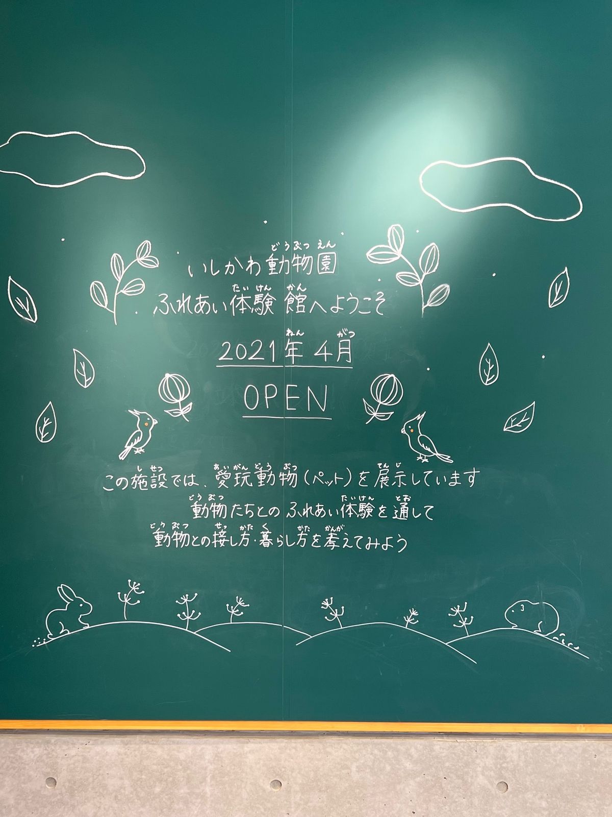 可愛すぎて癒しの極み😭

この種のオカメちゃんはハゲやすいらしくて
この子...