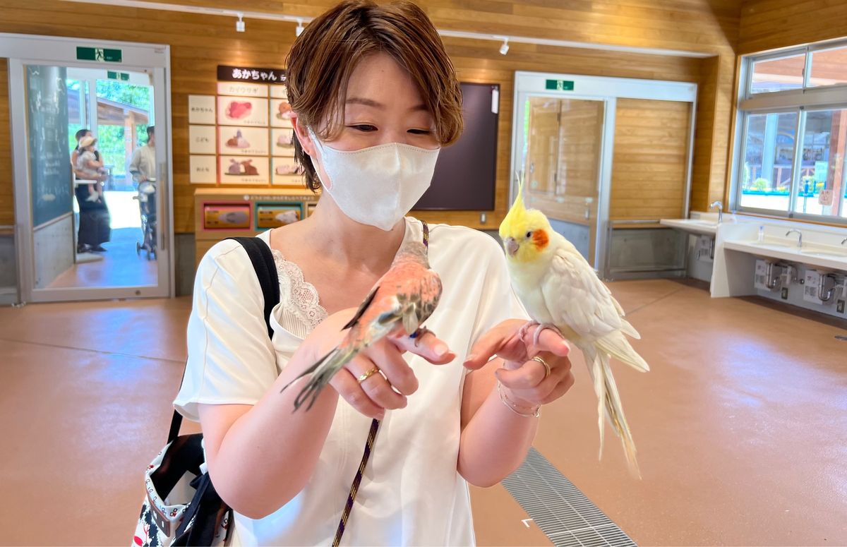 可愛い子ちゃん🦜たちに挟まれて
ニヤケ顔止まらず