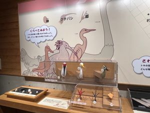 遠すぎてどこにいるのか一羽しか見つけられなかった💦
写真もiPhoneだと...