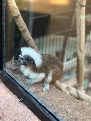 なんでこんなに寄ってきてくれるのかな〜☺️？って思ってたら、いつの間にか後...