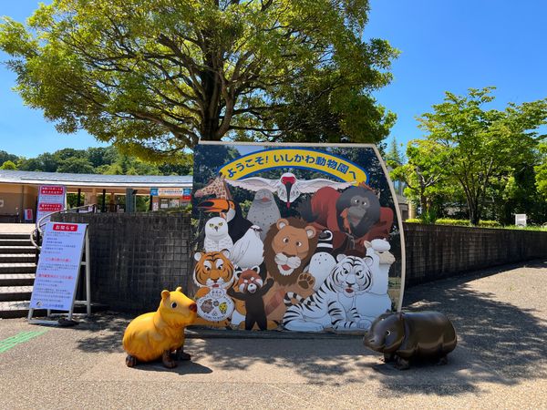 日本・金沢「金沢出張✈️」の写真：いしかわ動物園

貸切のような空きっぷり☀️