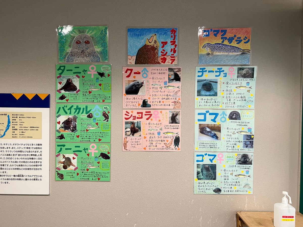 めちゃくちゃ一瞬で目の前通過していく

個体紹介貼ってあるけど
動きが早す...