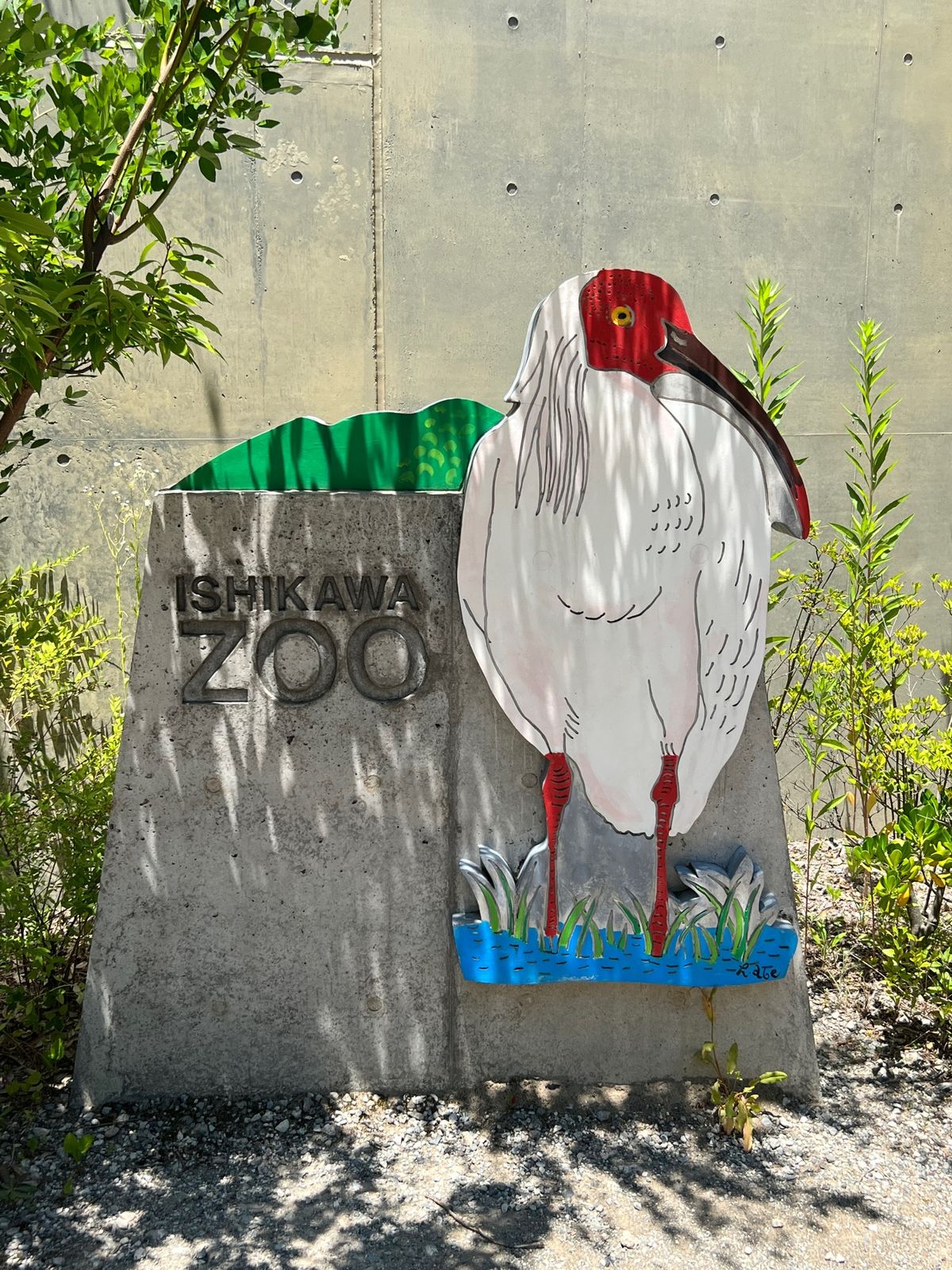 遠すぎてどこにいるのか一羽しか見つけられなかった💦
写真もiPhoneだと...