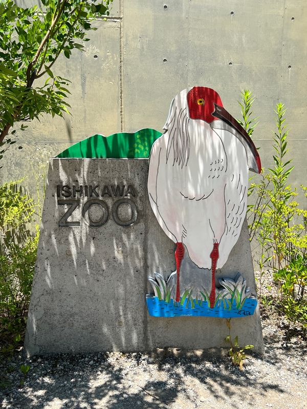 日本・金沢「金沢出張✈️」の写真：遠すぎてどこにいるのか一羽しか見つけられ...