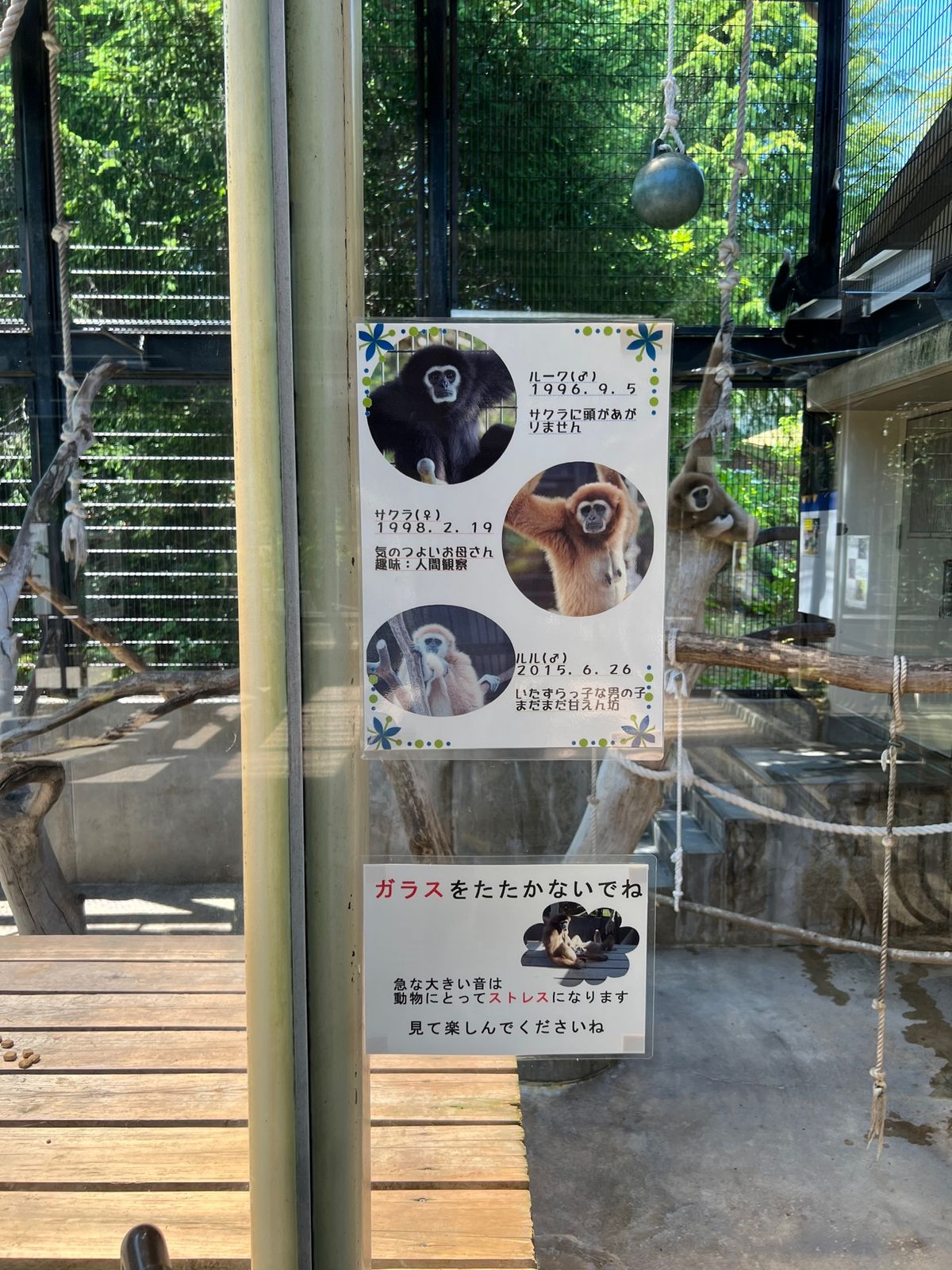 人間観察されてるのかなぁ😂

