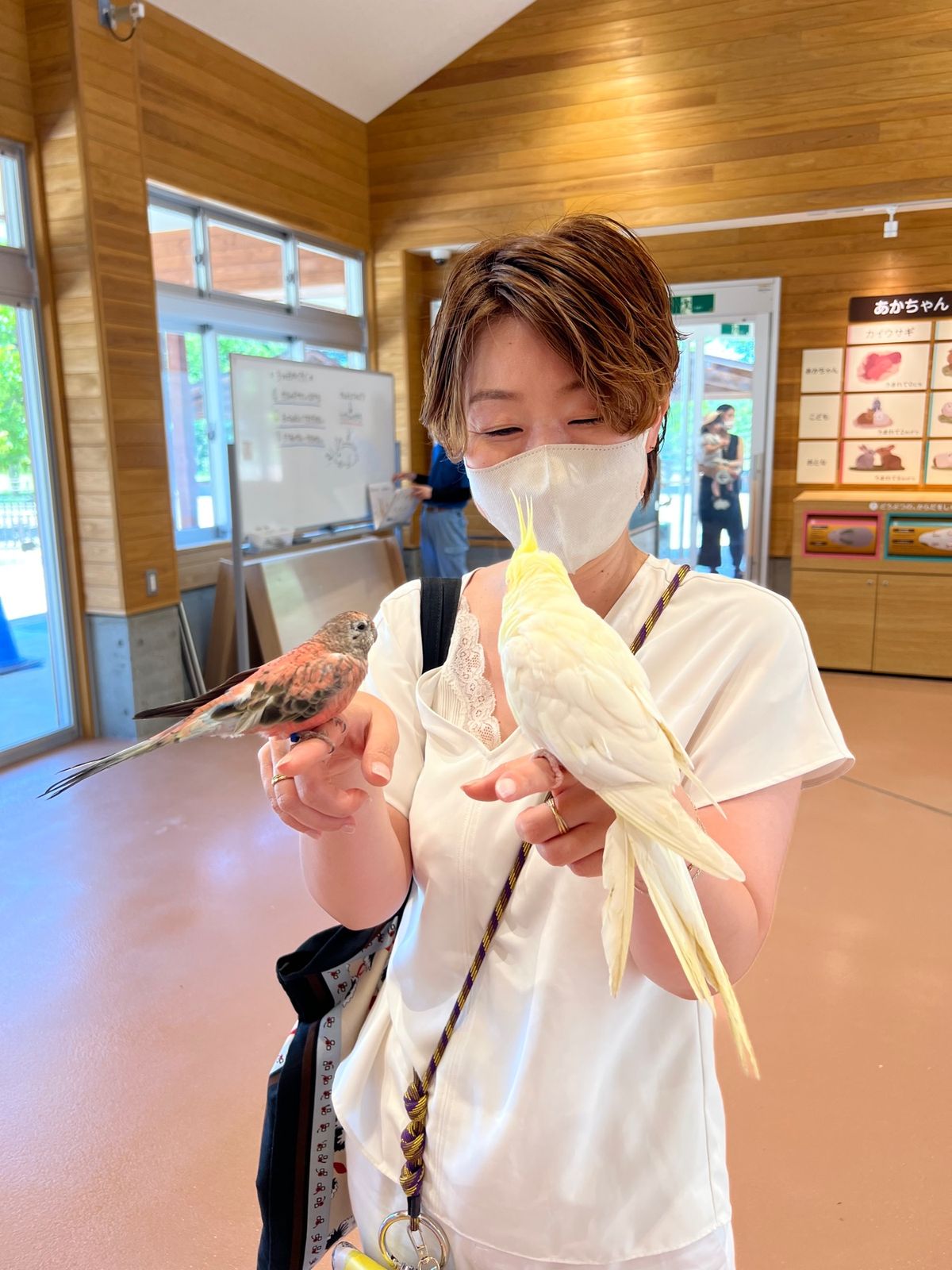 可愛い子ちゃん🦜たちに挟まれて
ニヤケ顔止まらず