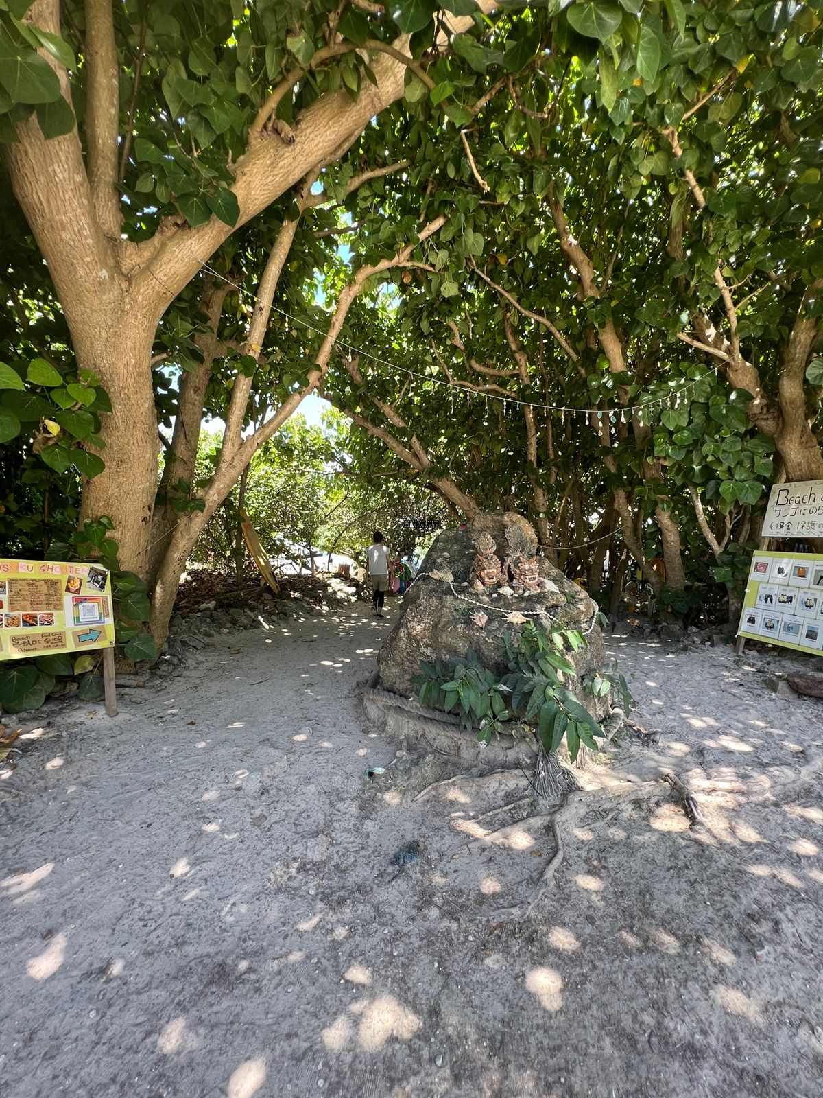 新城海岸海岸（あらぐす）

ここも宮古島東端にある。先ほどのオーシャンズ大...