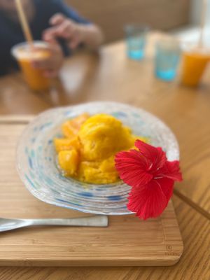 宮古空港近くの「ブルータートルファーム マンゴーカフェ [Blue Tur...