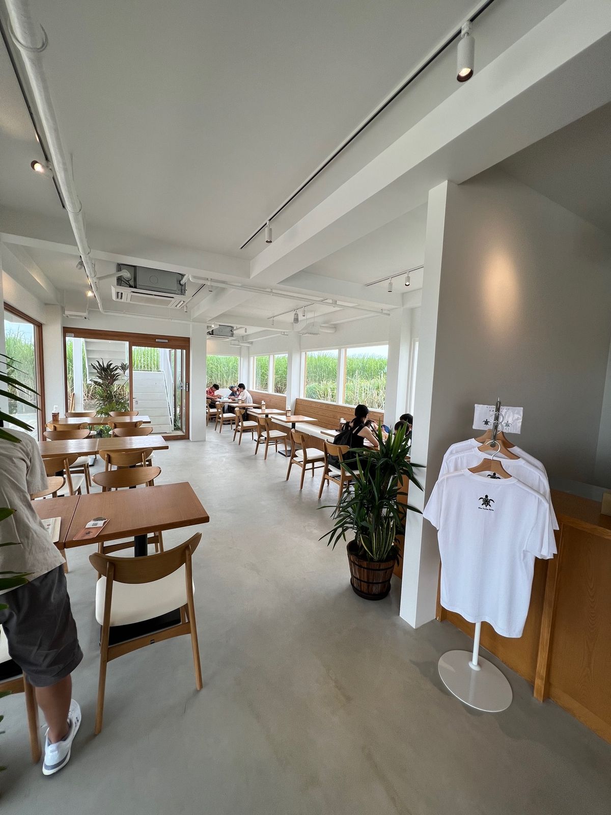 宮古空港近くの「ブルータートルファーム マンゴーカフェ [Blue Tur...