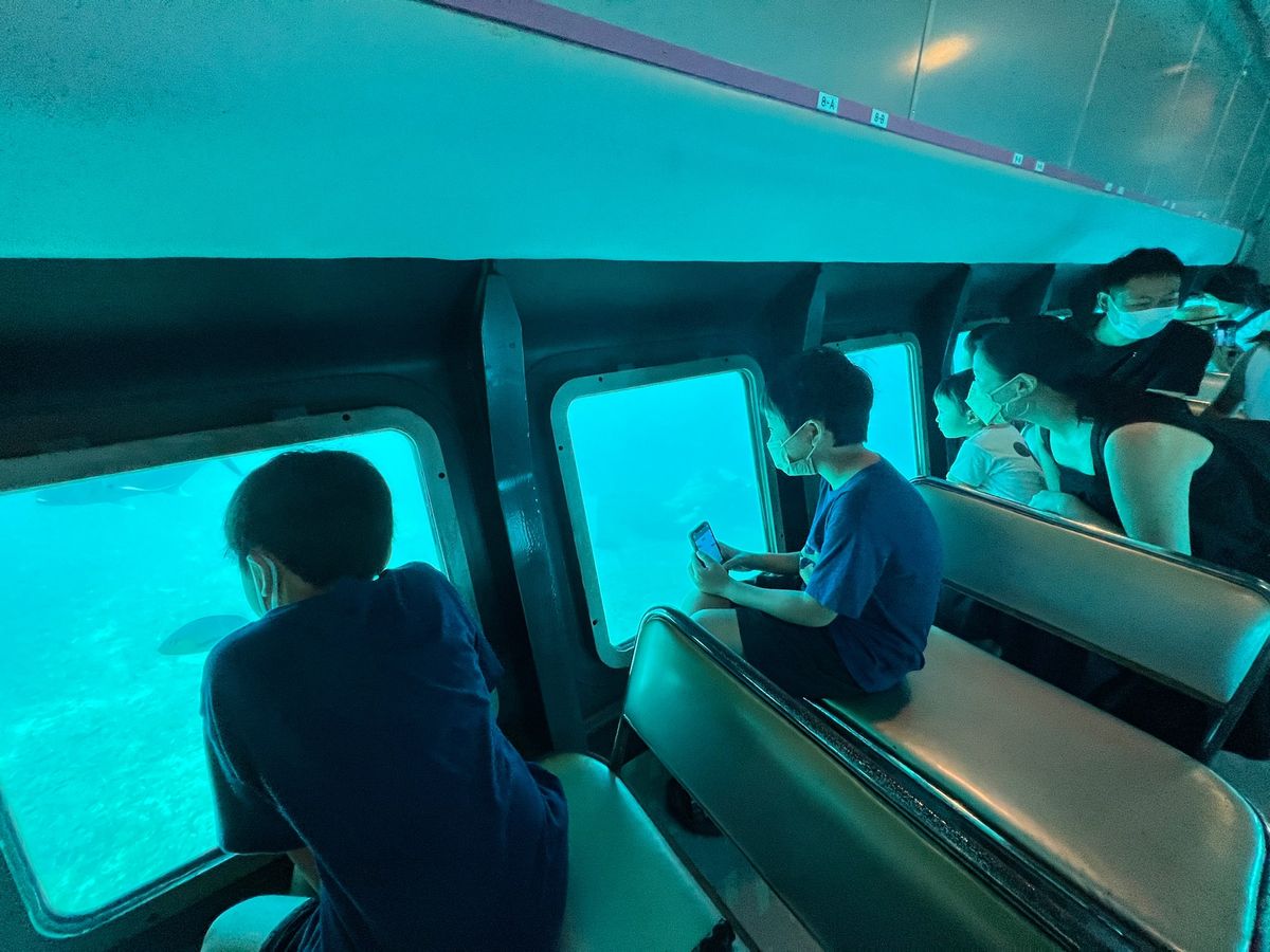 シースカイ博愛のグラスボートで海の中へ

2回目だけど子供たちは没頭してた...