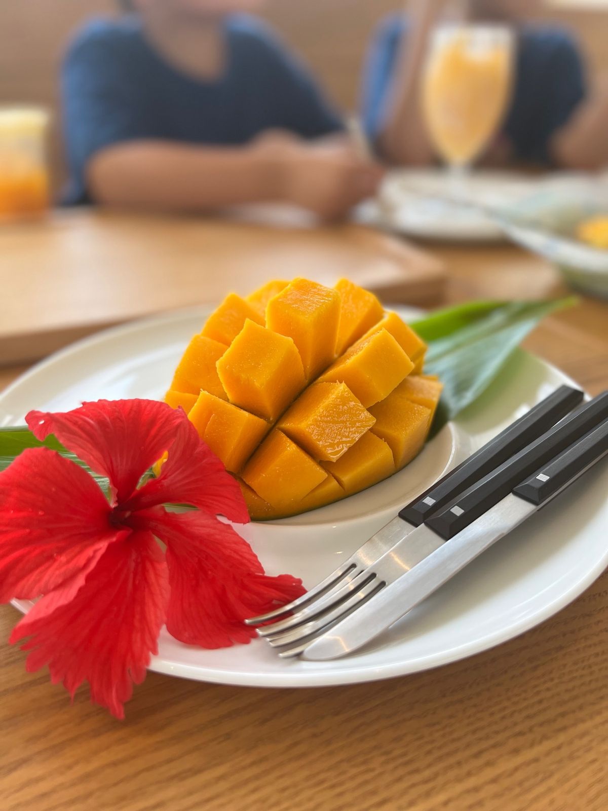 宮古空港近くの「ブルータートルファーム マンゴーカフェ [Blue Tur...