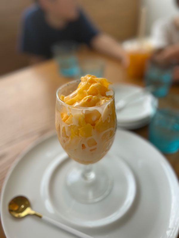 日本・宮古島「沖縄宮古島」の写真：宮古空港近くの「ブルータートルファーム ...