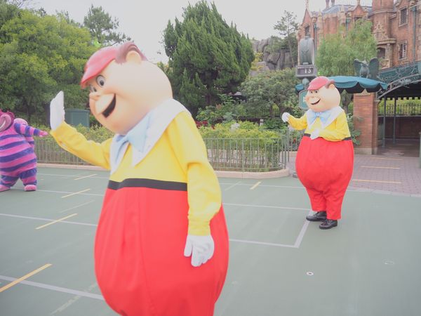 日本・千葉県「新婚旅行〜ディズニー編〜」の写真