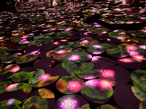 日本・東京都「お台場チームラボ」の写真