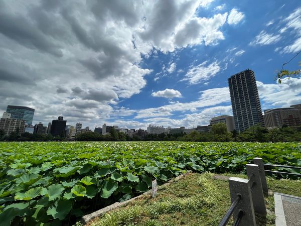 日本・東京都「東京旅行」の写真
