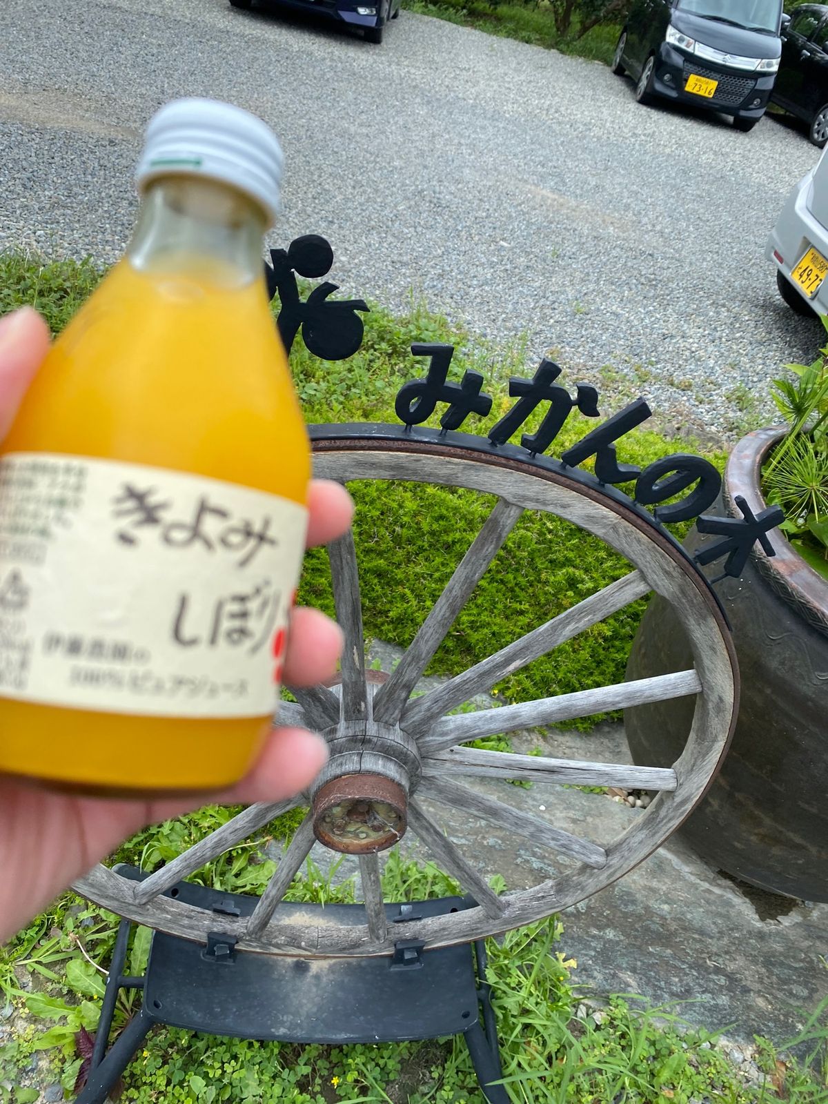 みかんの木さんで、マーマレードのお土産とオレンジジュース！