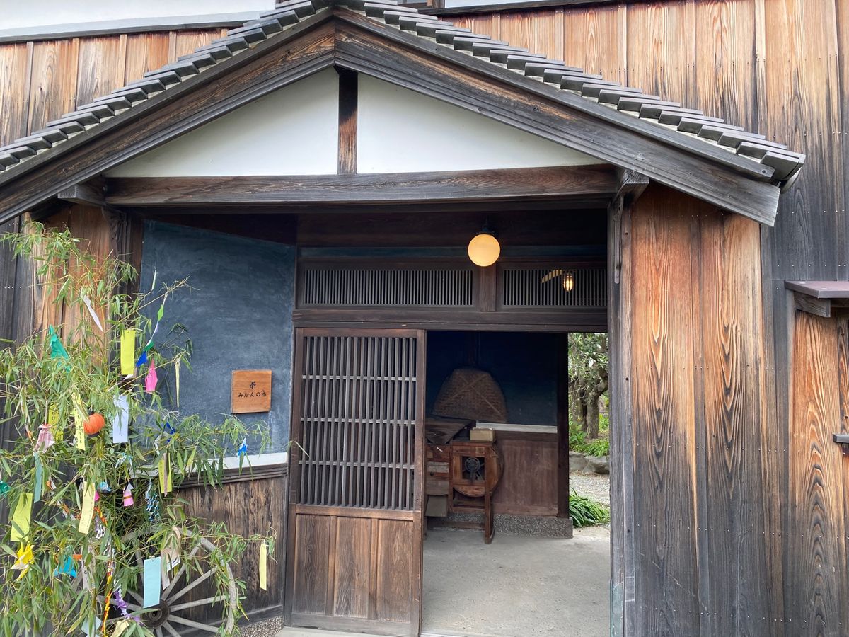 みかんの木さんで、マーマレードのお土産とオレンジジュース！