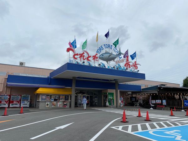 日本・和歌山県「和歌山旅！」の写真：とれとれ市場でたこ焼き食べた！