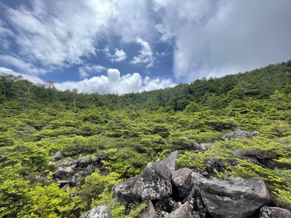 日本・長野県「霧ヶ峰高原と北八ヶ岳トレッキング」の写真：天候が悪いので早めに麦草峠に戻り、白駒池...