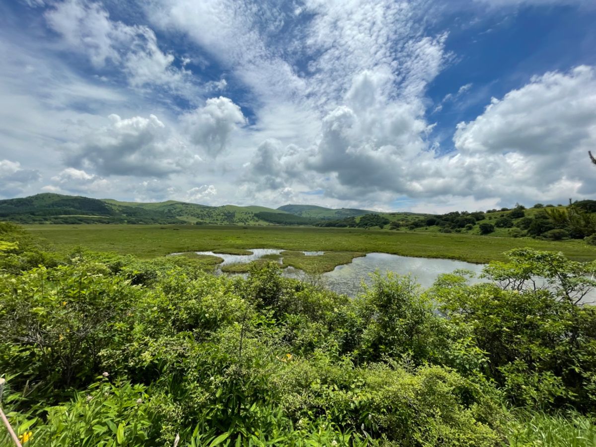 霧ヶ峰の八島湿原。周囲をぐるっと散策できます。