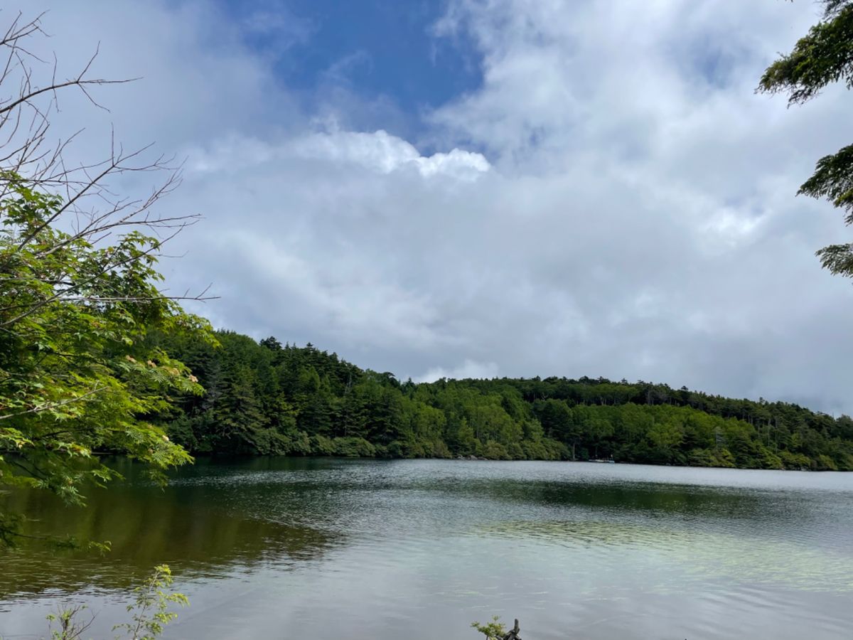 天候が悪いので早めに麦草峠に戻り、白駒池方面へ。ここは秋になると紅葉の名所...
