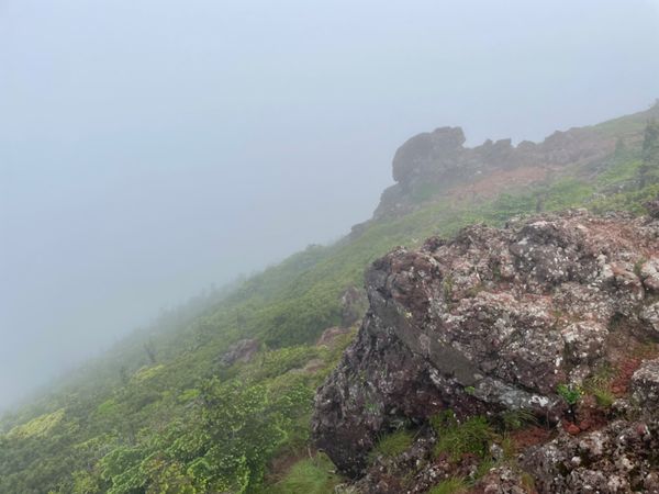 日本・長野県「霧ヶ峰高原と北八ヶ岳トレッキング」の写真：残念ながら山頂は全く視界が無く、眺望は望...