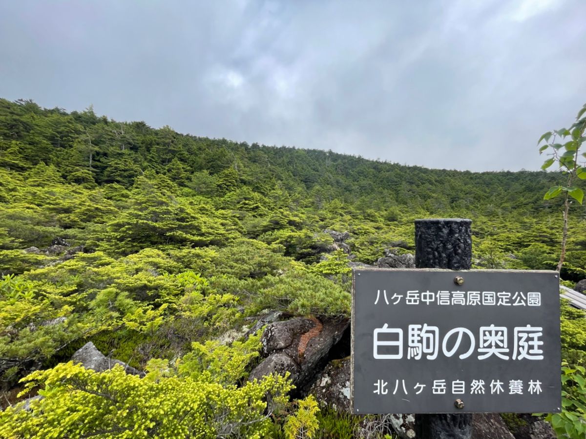 天候が悪いので早めに麦草峠に戻り、白駒池方面へ。ここは秋になると紅葉の名所...