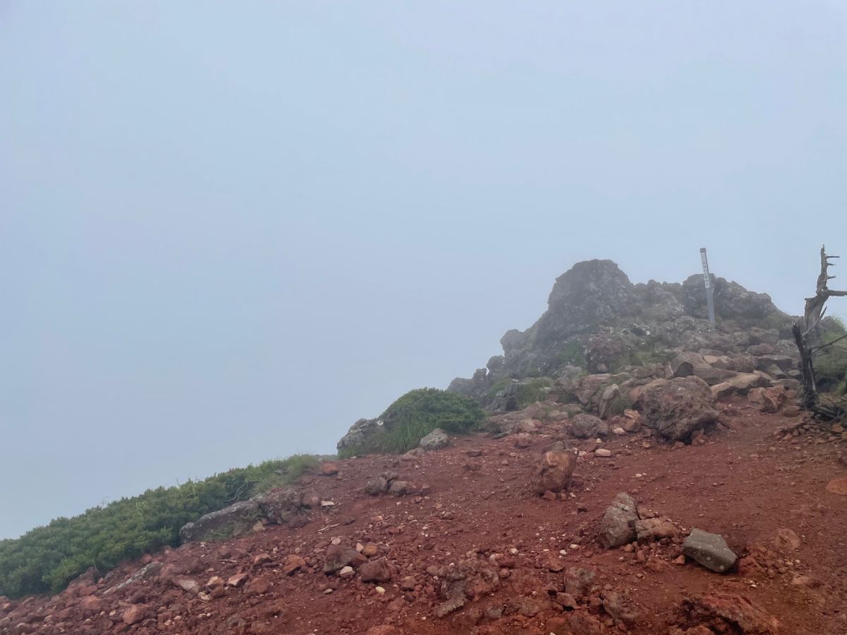 残念ながら山頂は全く視界が無く、眺望は望めません。