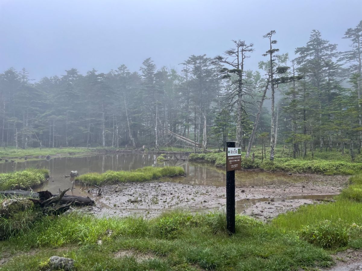 旅行二日目は北八ヶ岳登山です。麦草峠に車を停めてスタート。あいにくお天気は...