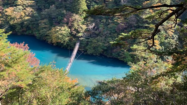 日本・静岡県「静岡4泊4日」の写真：夢の吊橋の散策
静岡ならではの炭焼きレス...