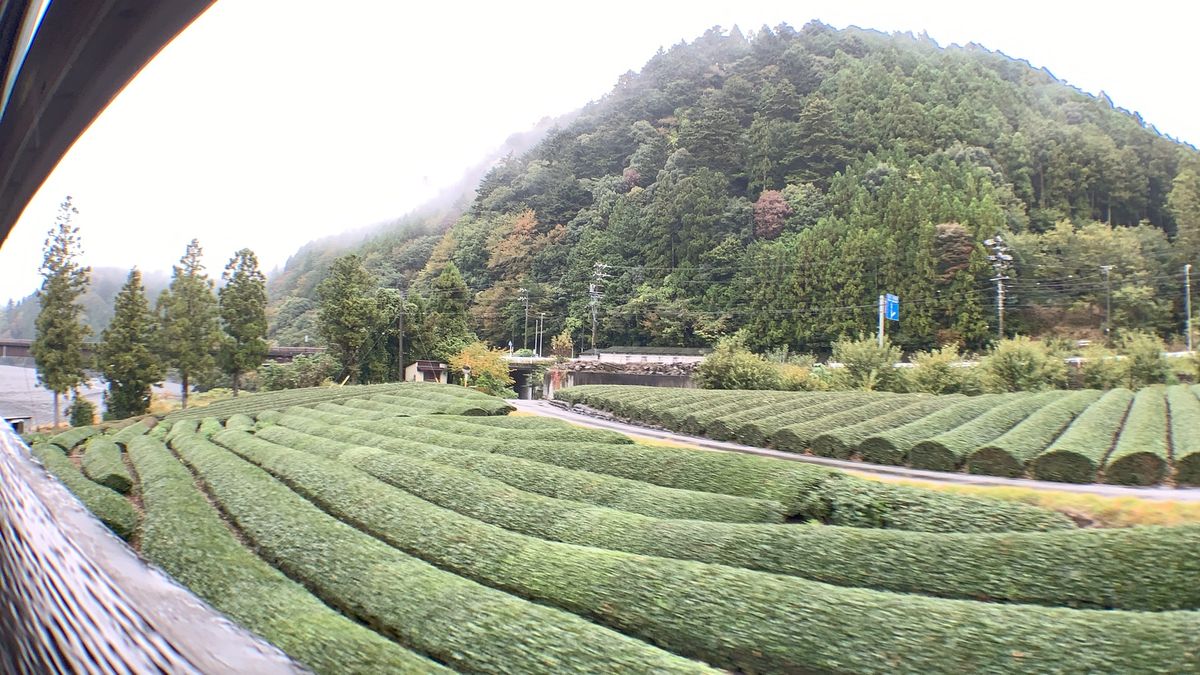 蓬莱橋と大井川鐵道