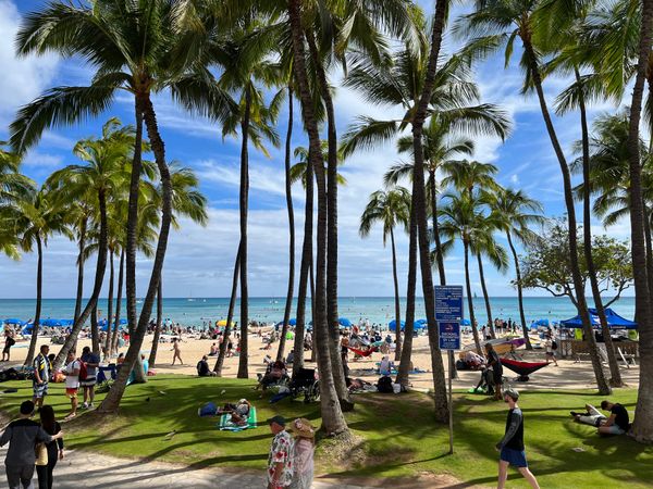 アメリカ(米国)・hawaii「HNL✈︎ vol.3」の写真