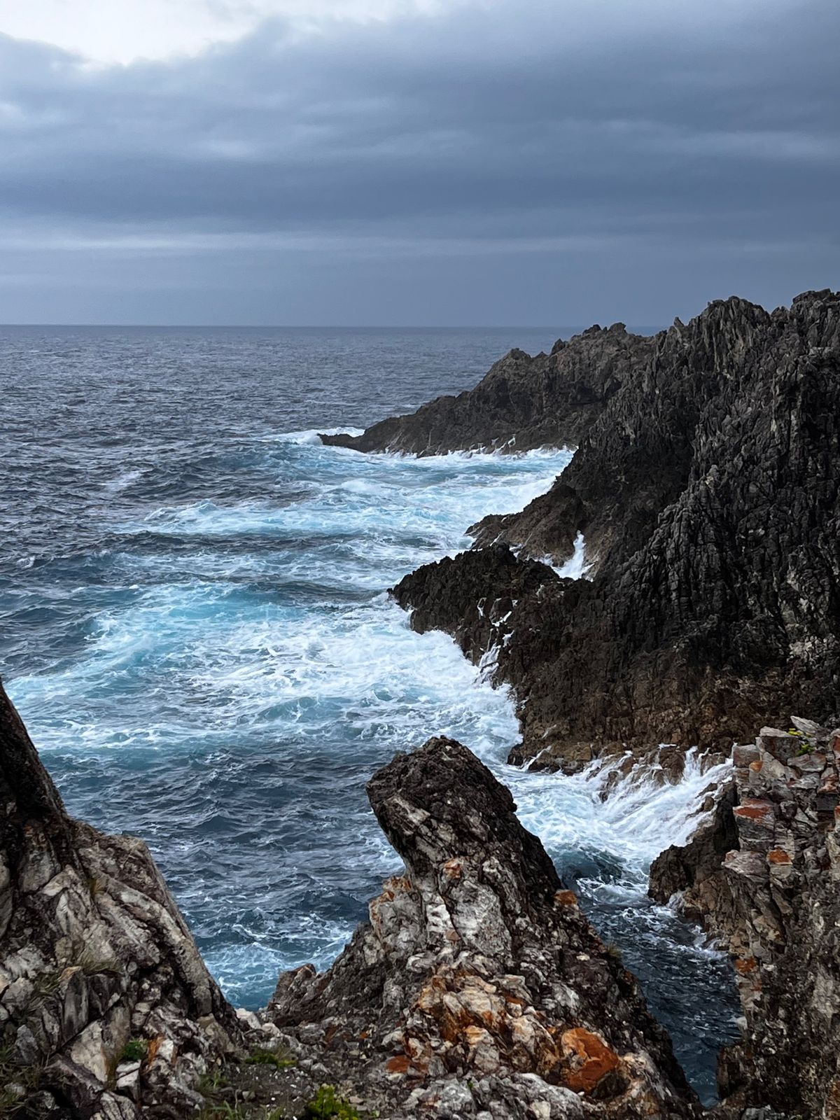 初✨トキ、佐渡金山、