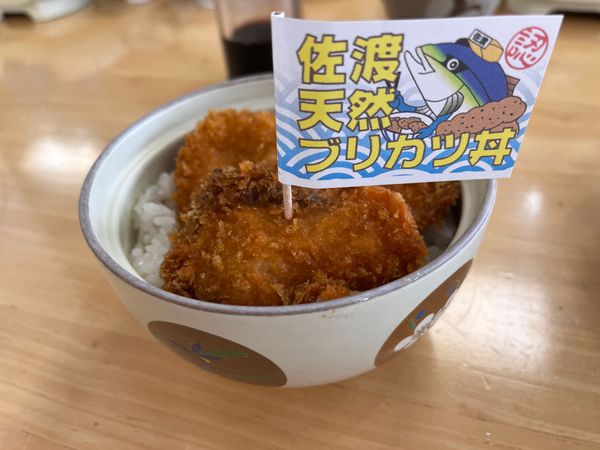 日本・新潟県「佐渡旅行」の写真：ブリカツに佐渡のお塩はミネラルたっぷり
...