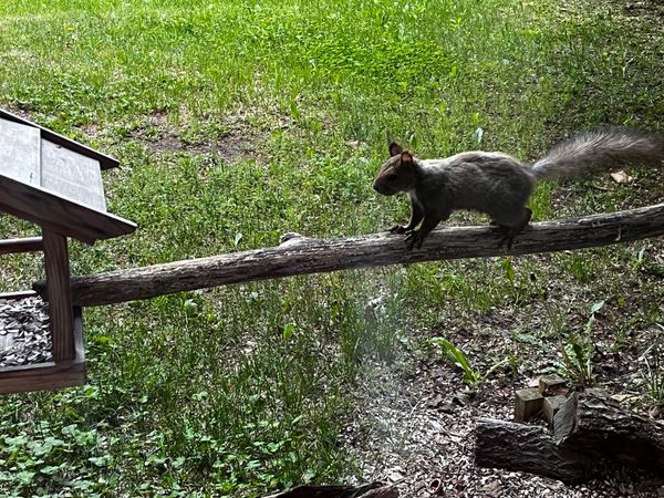 日本・北海道「春の網走旅行」の写真