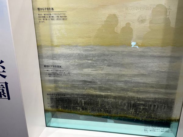 日本・北海道「網走流氷」の写真