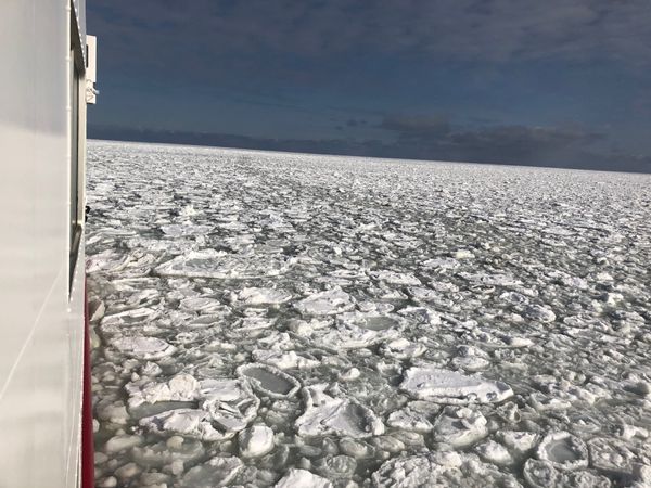 日本・北海道「1月の網走流氷」の写真