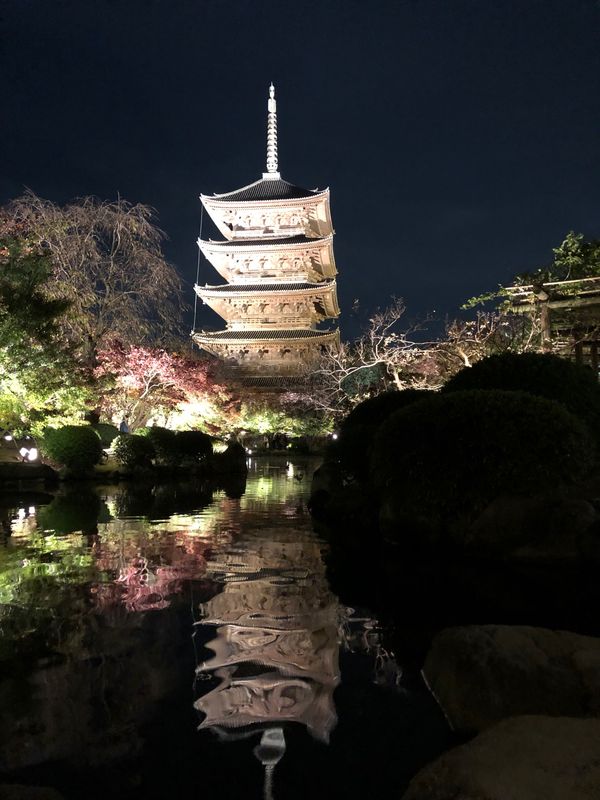 日本・京都府「京都旅行」の写真