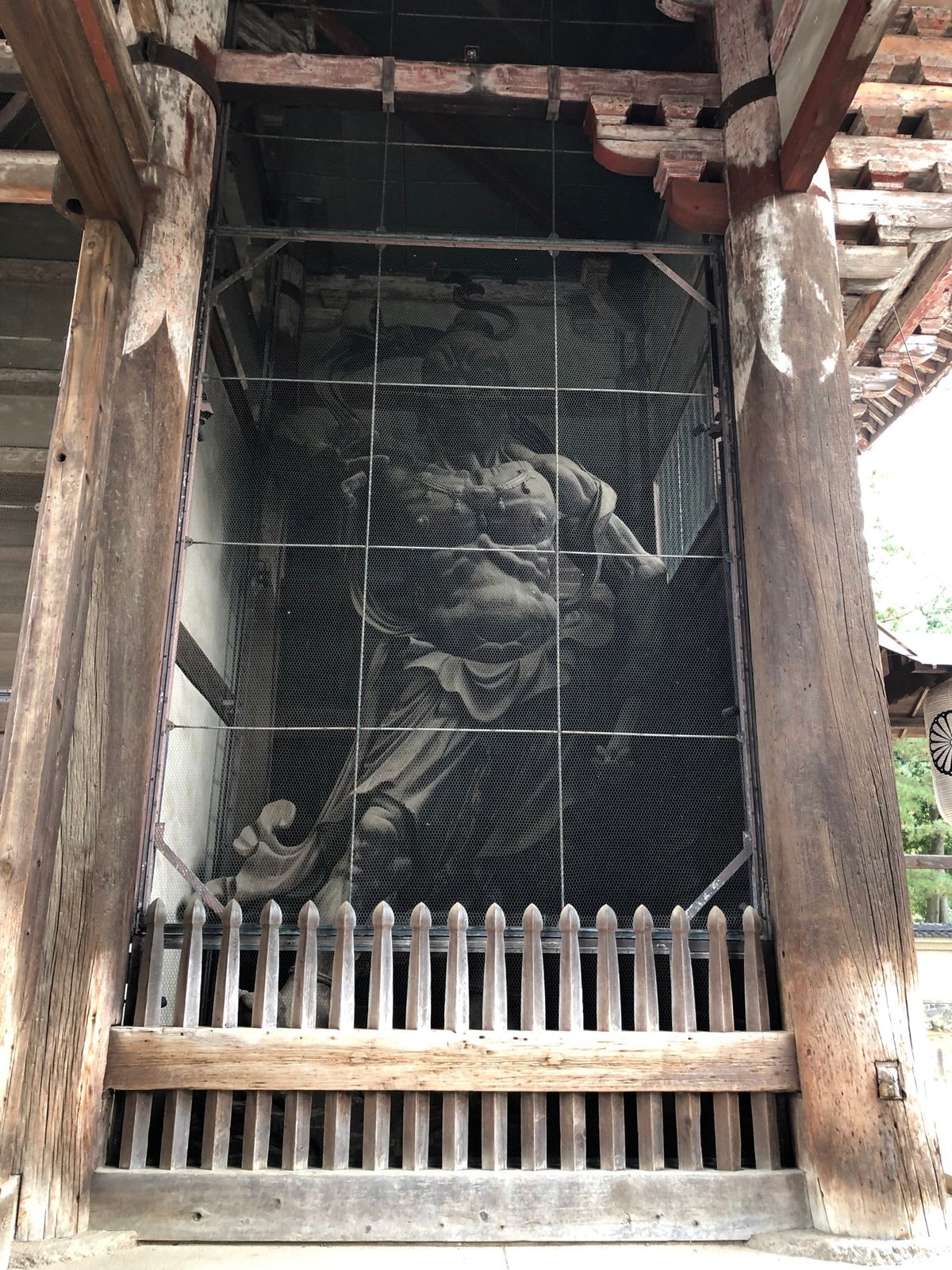 東大寺、奈良公園