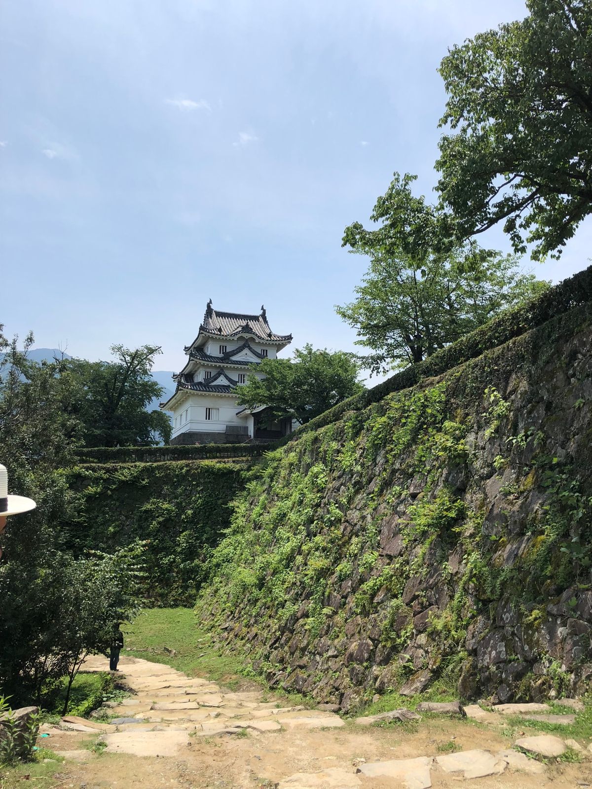宇和島城
帰りに鯛めしもいただきました。