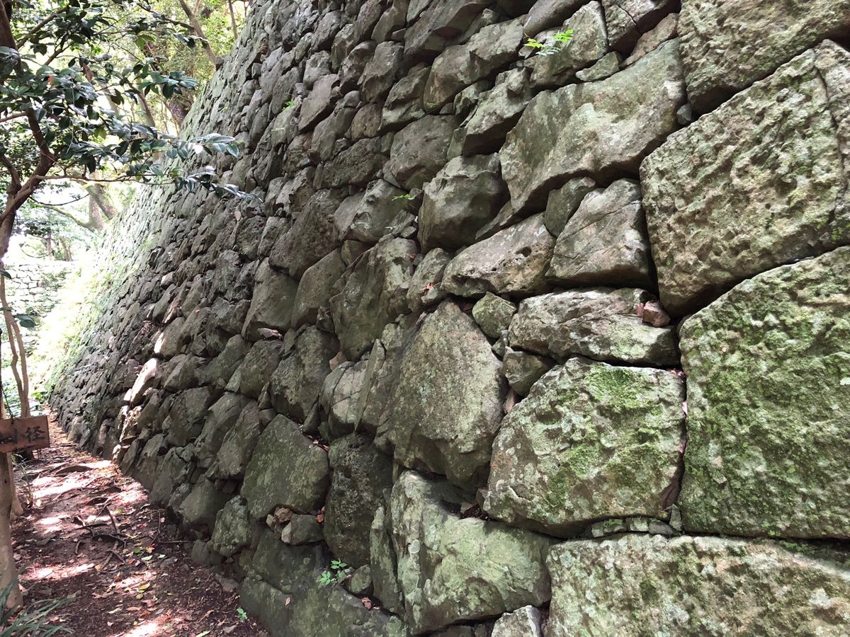 宇和島城
帰りに鯛めしもいただきました。