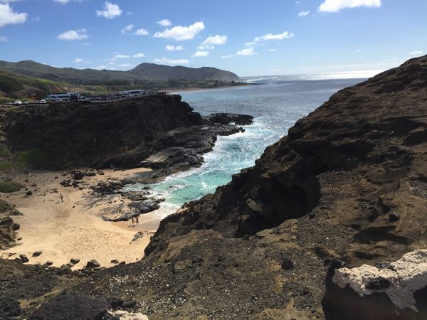 アメリカ(米国)・ホノルル「ハワイ」の写真：全てが素敵に見える‼️‼️🤣