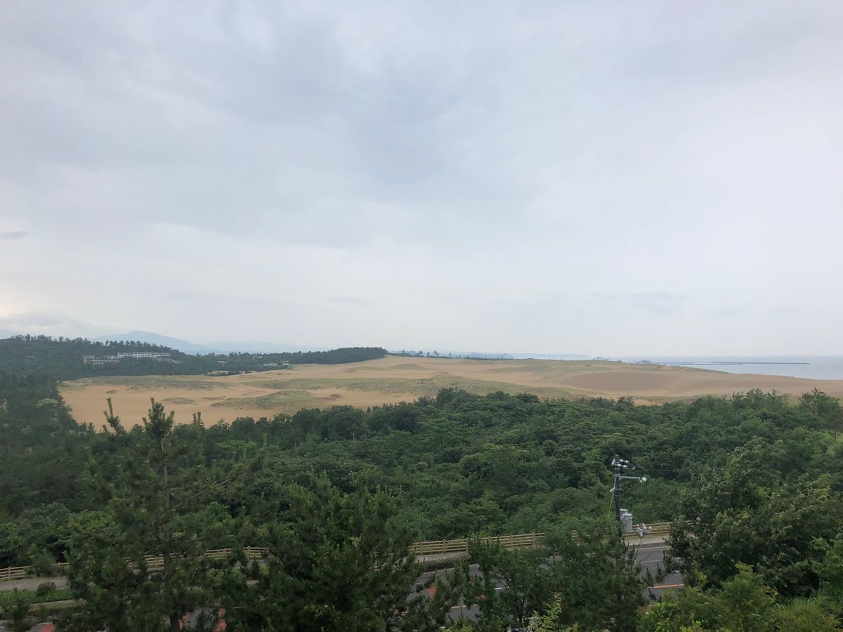 砂丘の砂で出来ているなんて凄い‼️
芸術✨✨