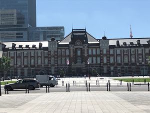 初✨ハトバスツアー