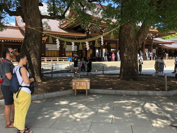 日本・東京都「東京」の写真：明治神宮