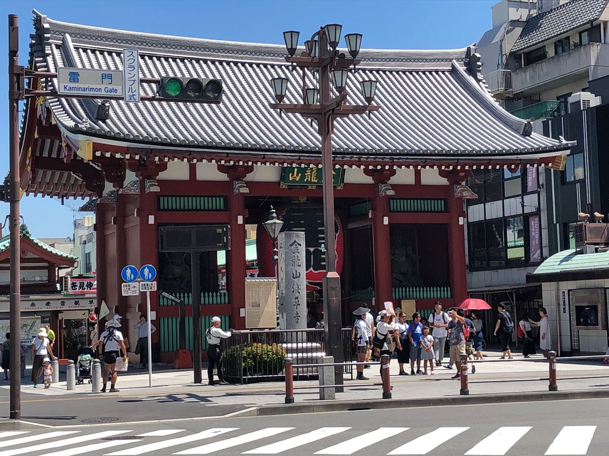 初✨ハトバスツアー