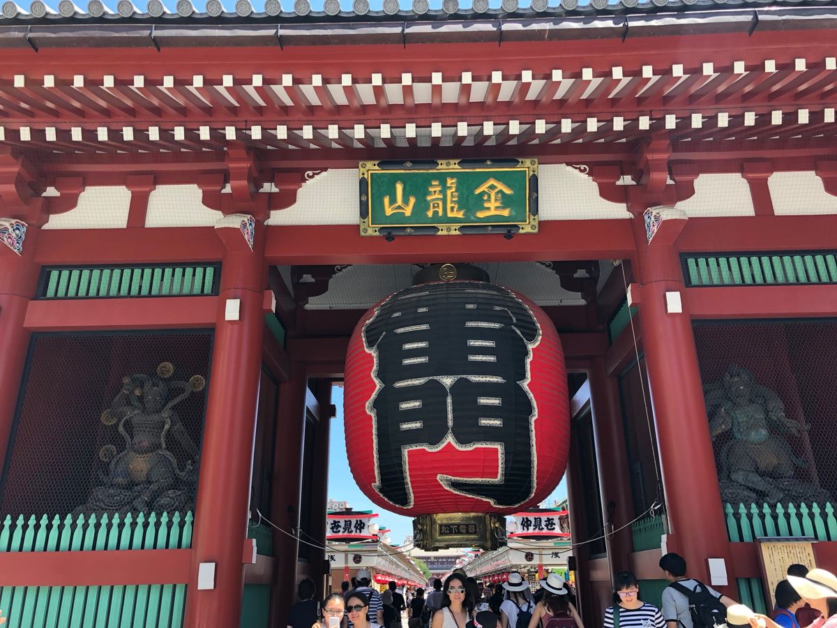 初✨ハトバスツアー