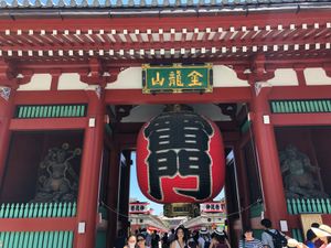 初✨ハトバスツアー