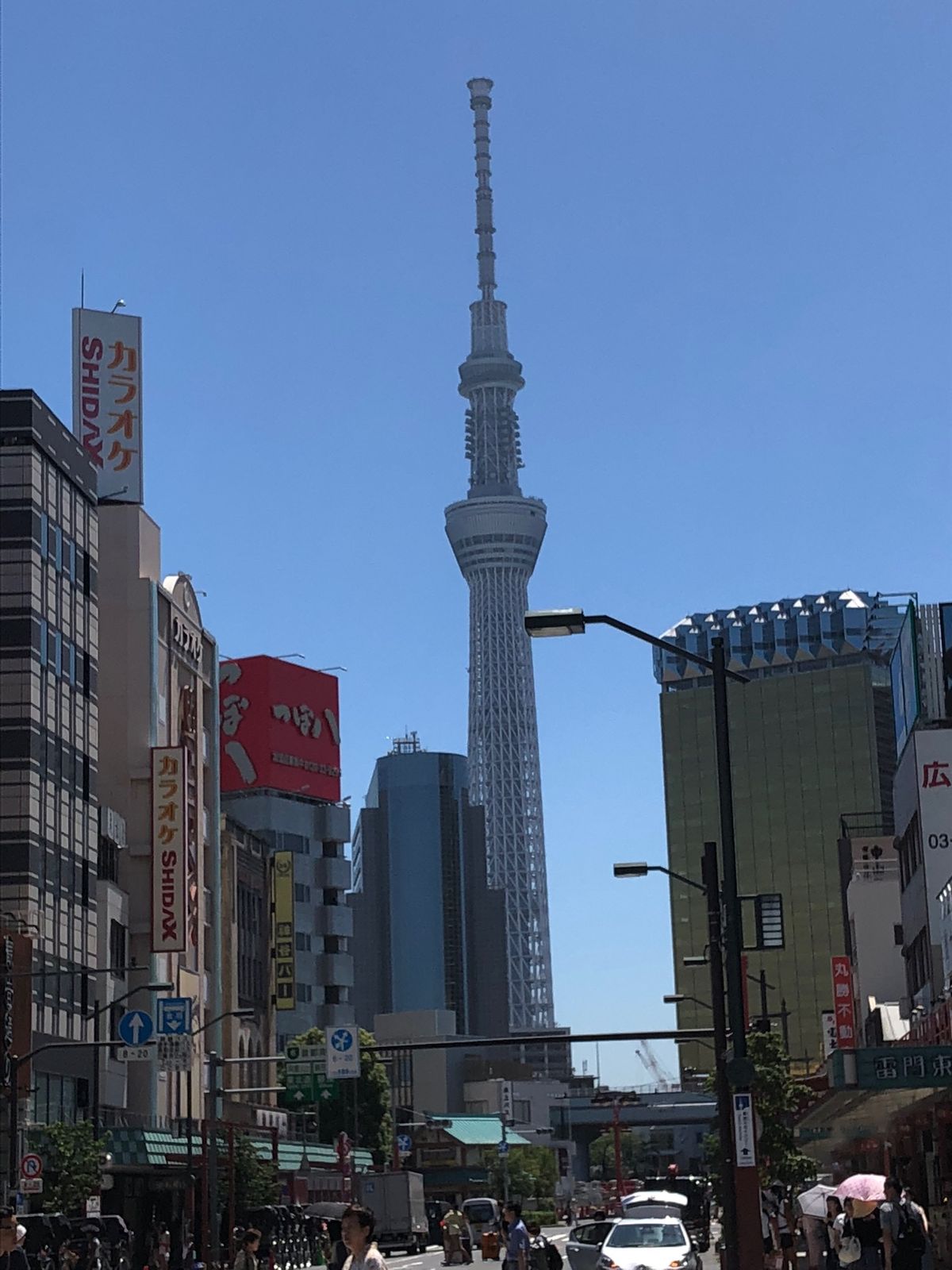 初✨ハトバスツアー